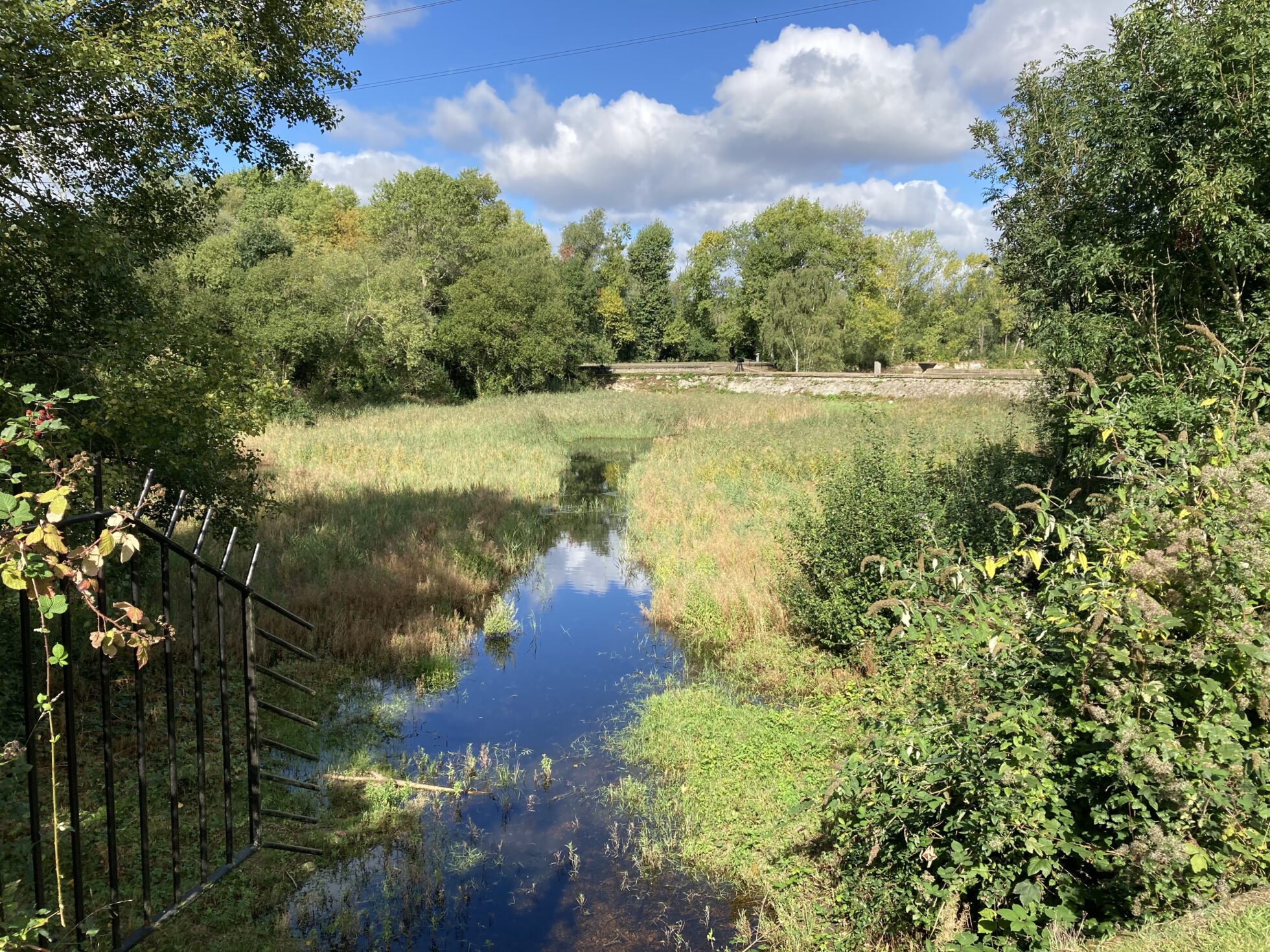 Middlesex Filter Beds