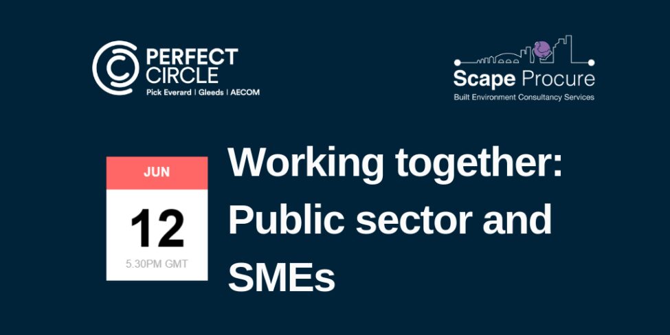 Working together Public sector and SM Es